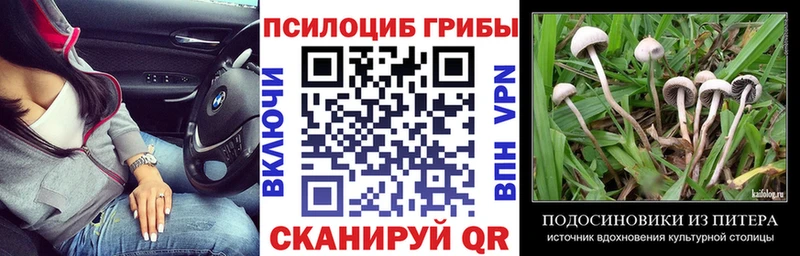 Галлюциногенные грибы MAGIC MUSHROOMS  Всеволожск 