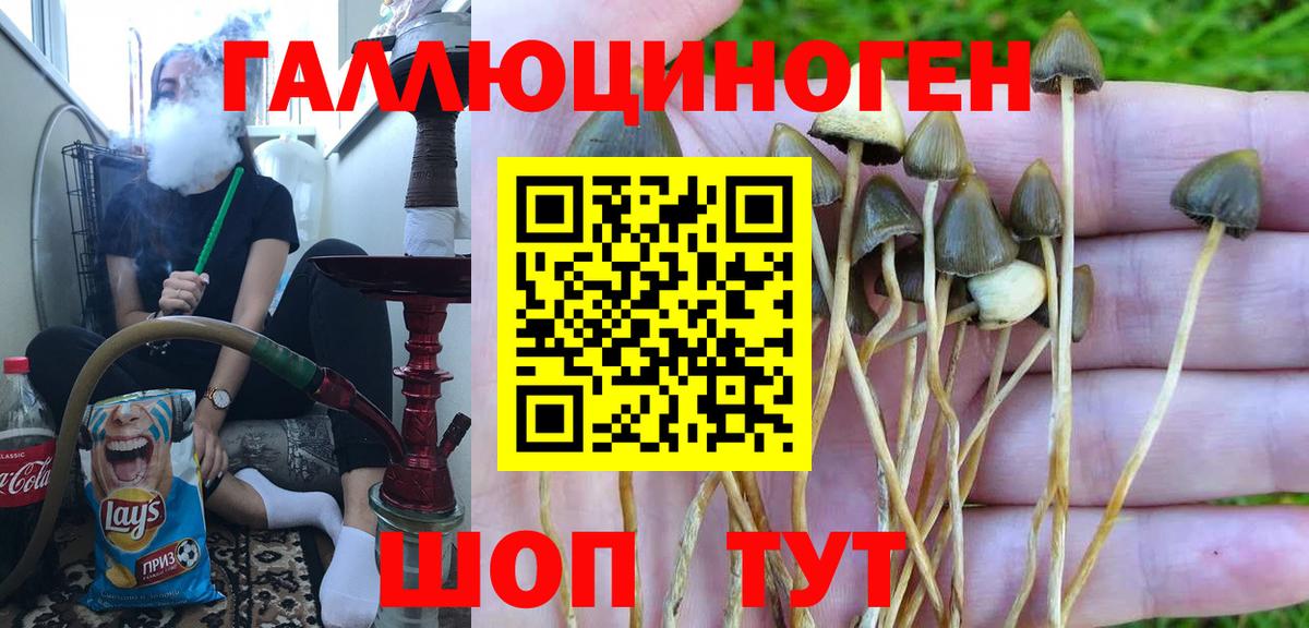 Галлюциногенные грибы ЛСД  Вход с VPN  Всеволожск 